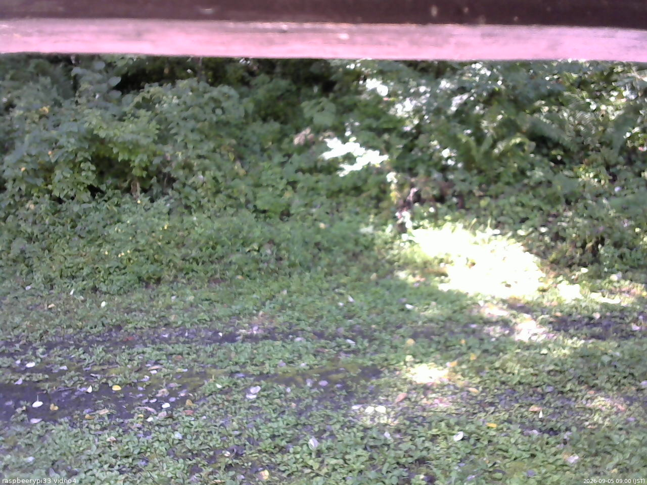 長野県菅平高原 ゆたか山荘 東側(坂下) 2026/09/05 09:00