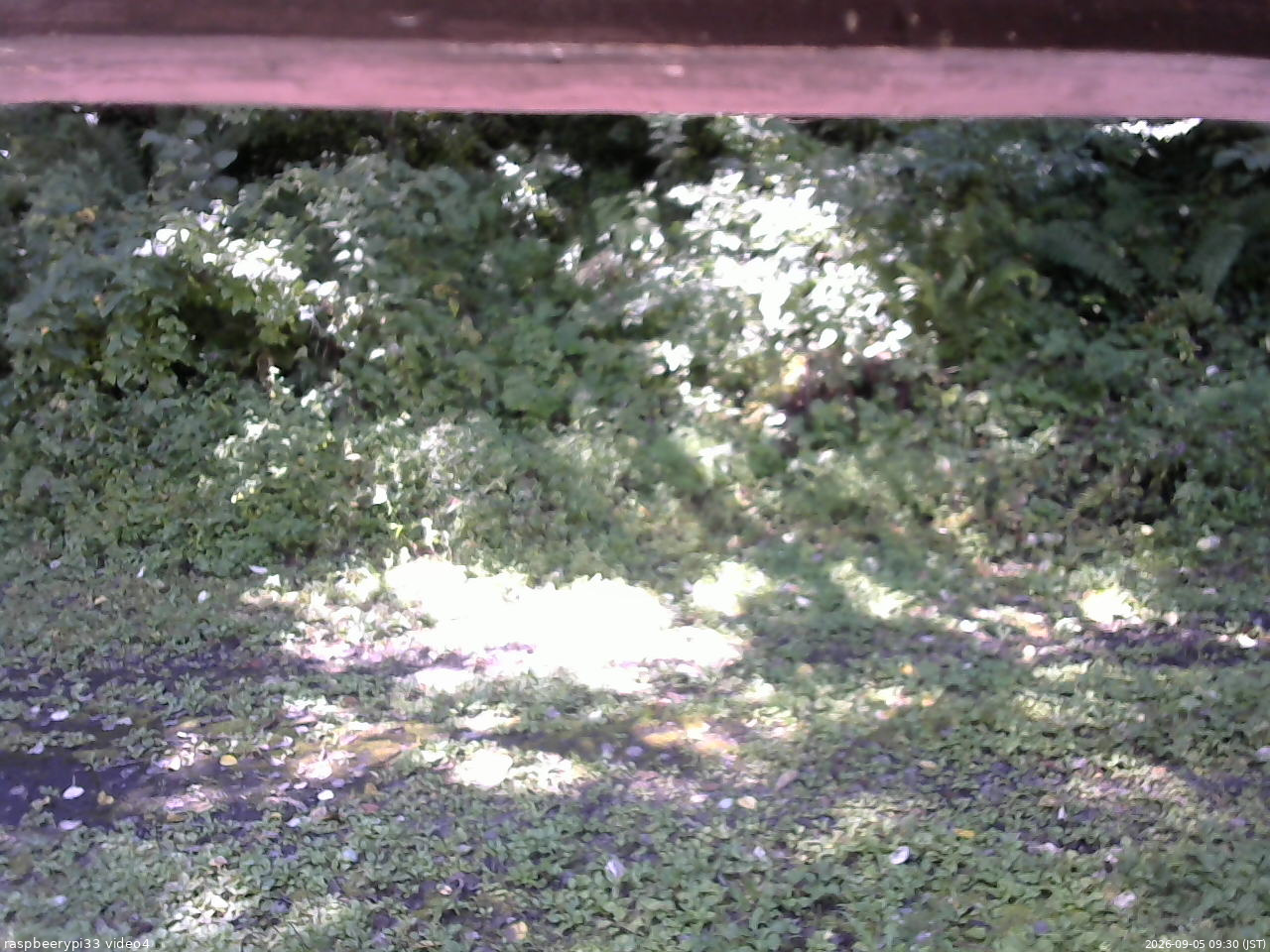 長野県菅平高原 ゆたか山荘 東側(坂下) 2026/09/05 09:30