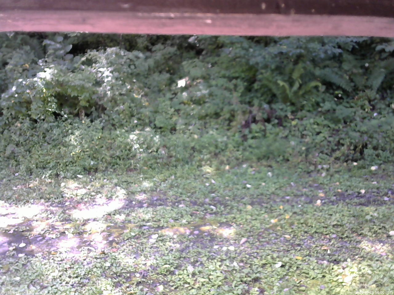 長野県菅平高原 ゆたか山荘 東側(坂下) 2026/09/05 10:00