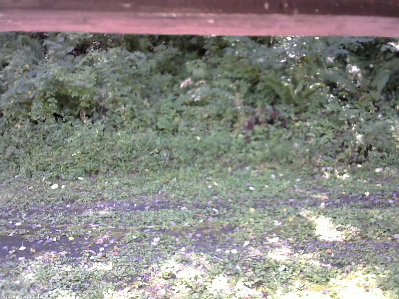 長野県菅平高原 ゆたか山荘 東側(坂下) 2026/09/05 10:30