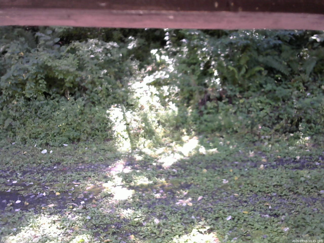 長野県菅平高原 ゆたか山荘 東側(坂下) 2026/09/05 10:45