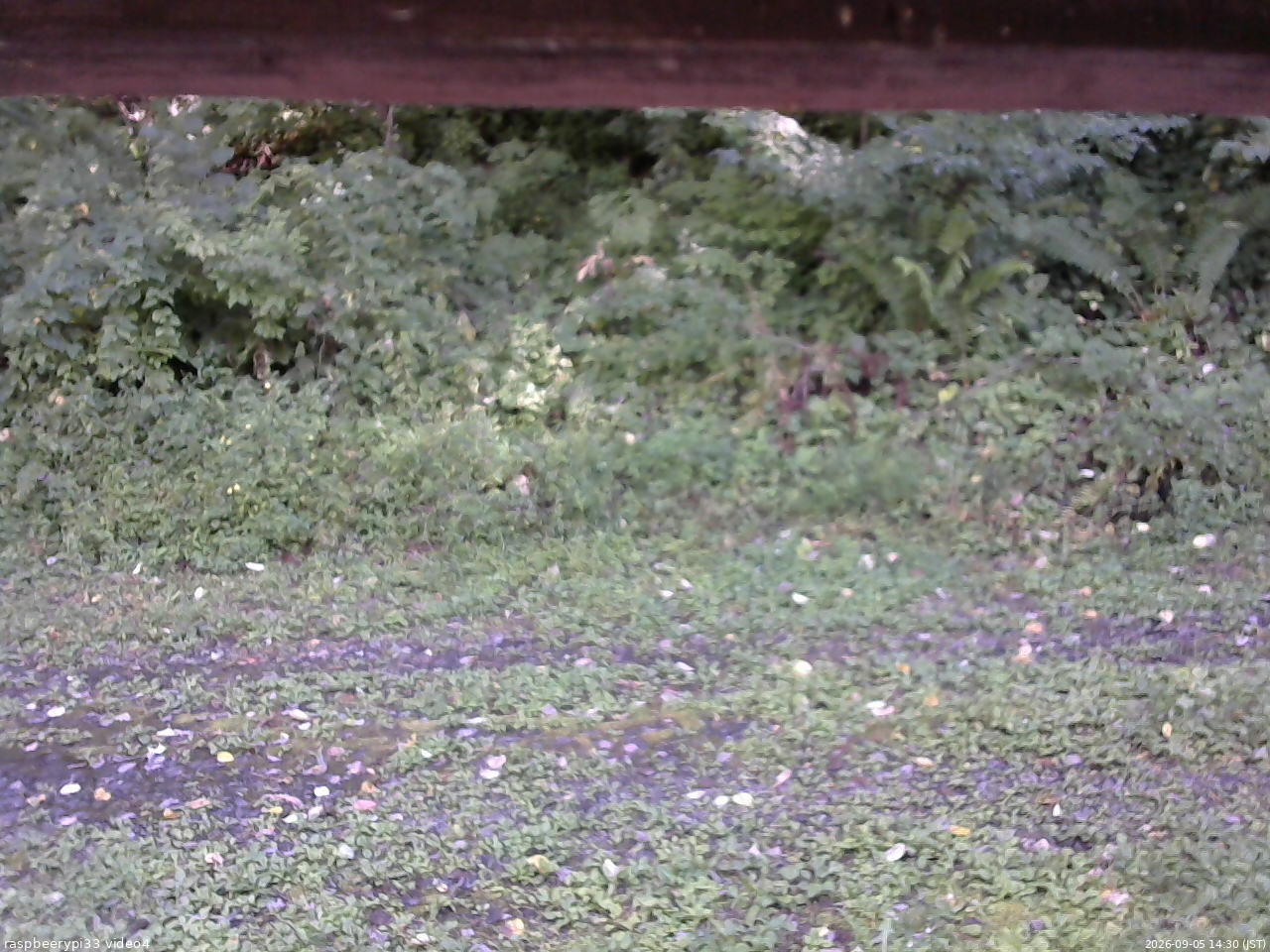 長野県菅平高原 ゆたか山荘 東側(坂下) 2026/09/05 14:30