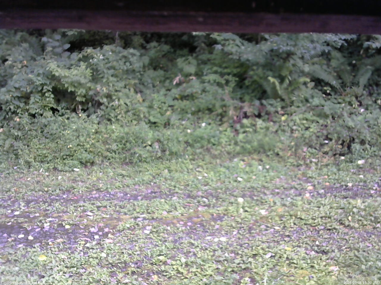 長野県菅平高原 ゆたか山荘 東側(坂下) 2026/09/05 15:30