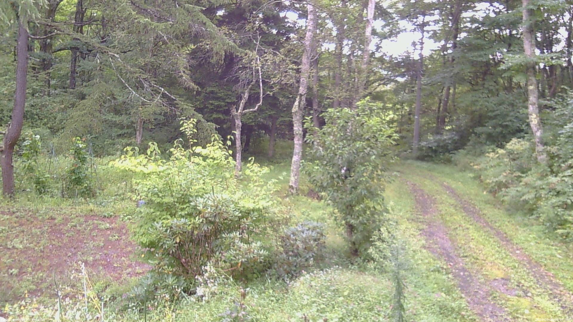 長野県菅平高原 ゆたか山荘 坂上 2026/09/05 07:15