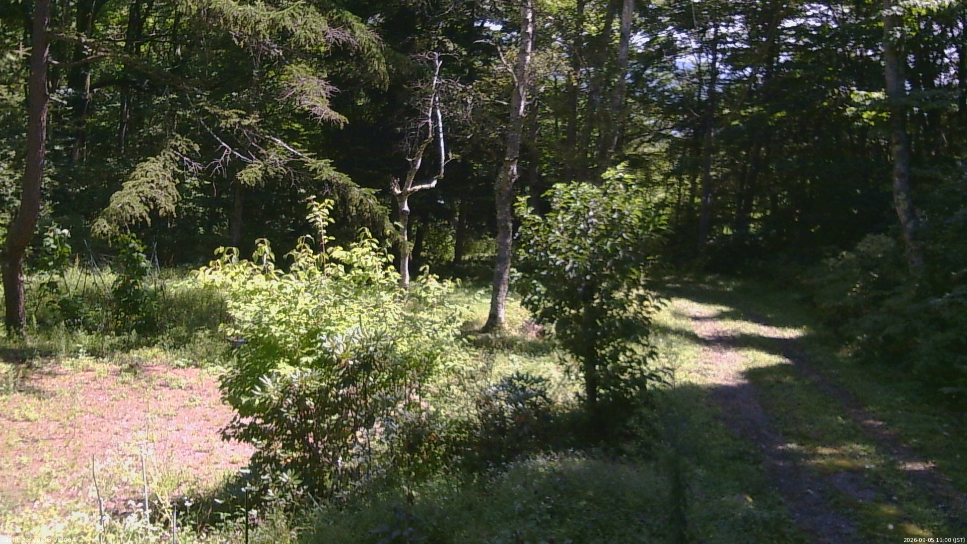 長野県菅平高原 ゆたか山荘 坂上 2026/09/05 11:00