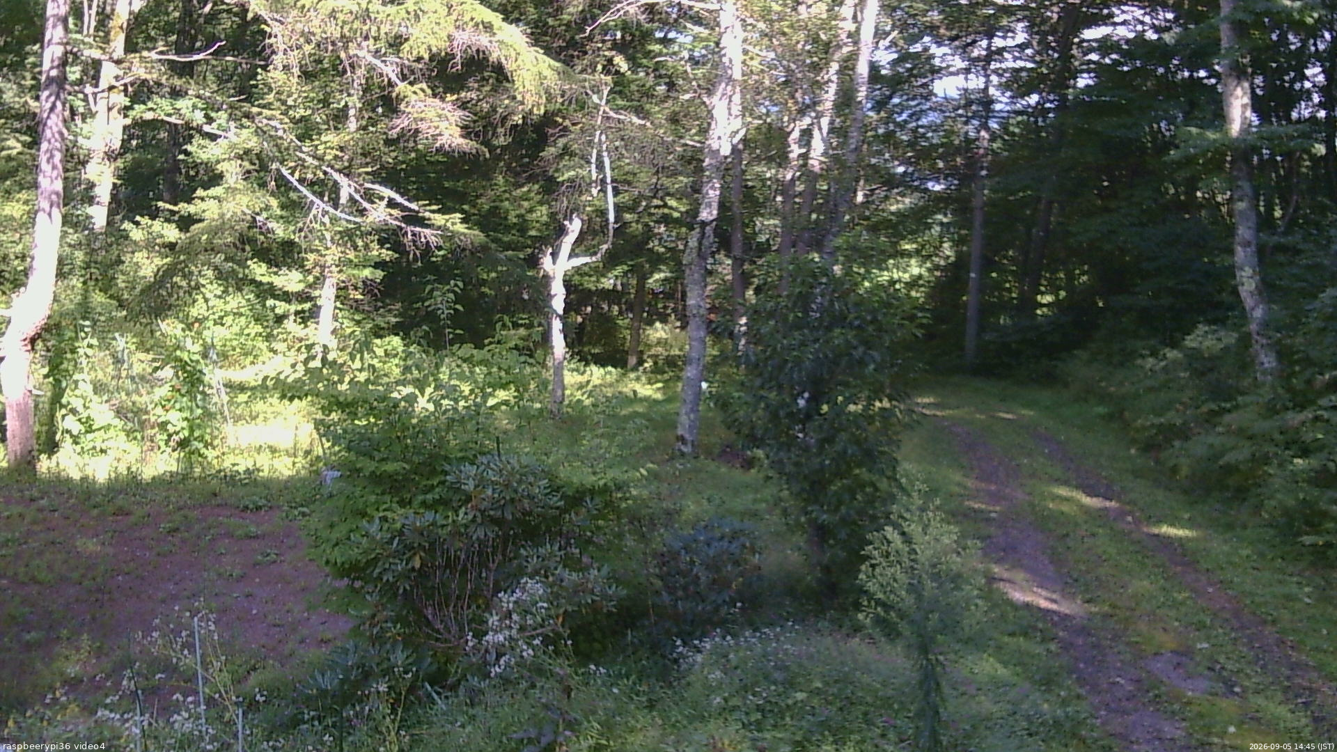 長野県菅平高原 ゆたか山荘 坂上 2026/09/05 14:45