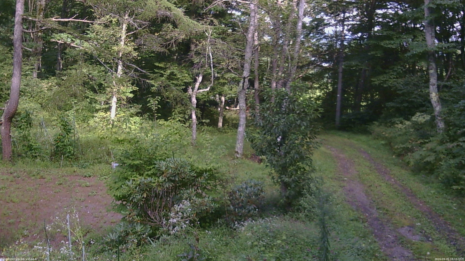 長野県菅平高原 ゆたか山荘 坂上 2026/09/05 15:15