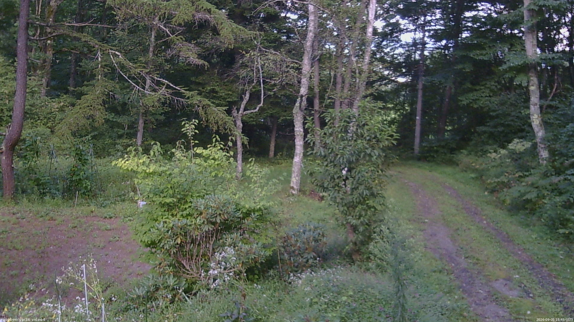 長野県菅平高原 ゆたか山荘 坂上 2026/09/05 15:45