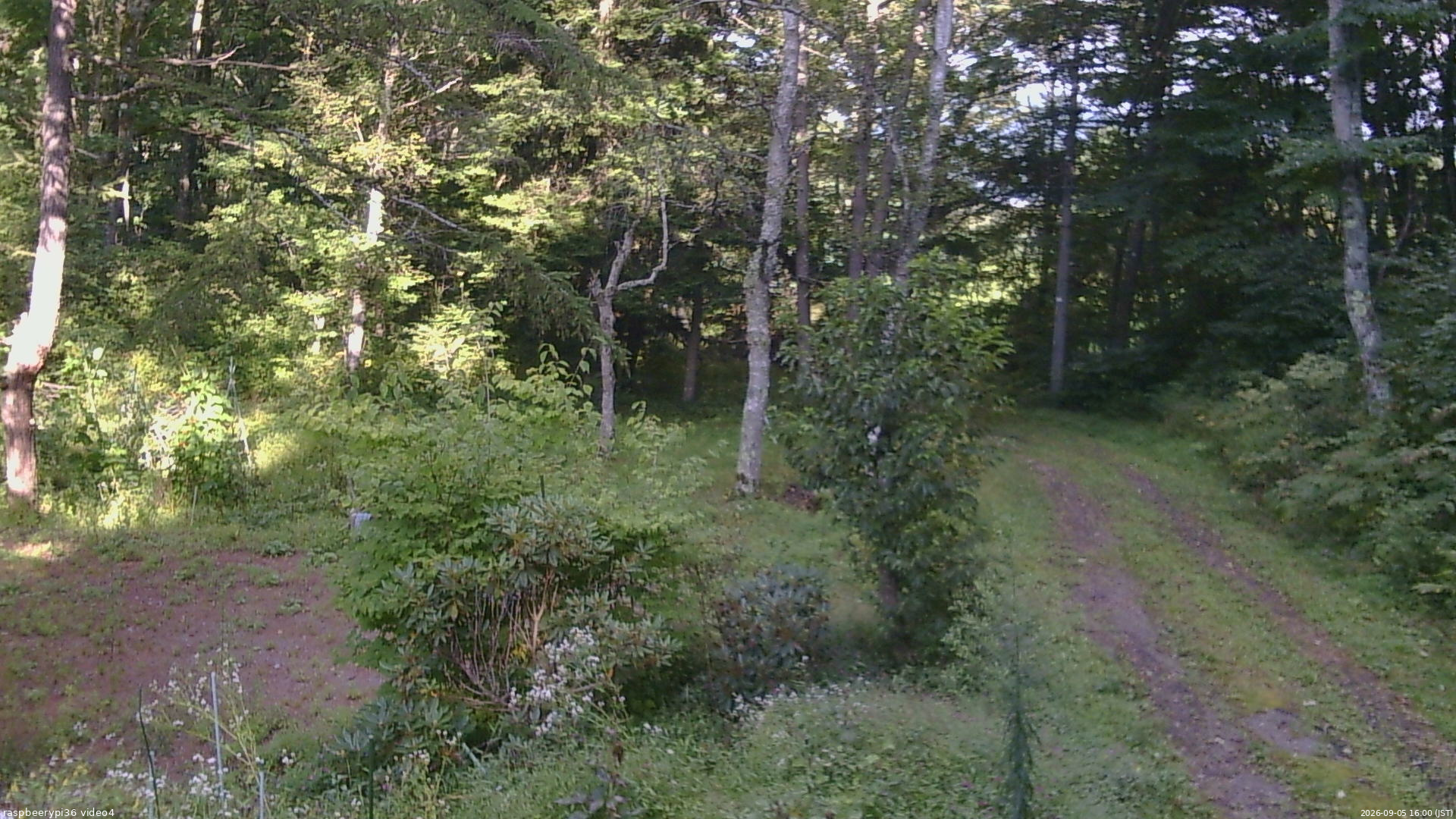 長野県菅平高原 ゆたか山荘 坂上 2026/09/05 16:00