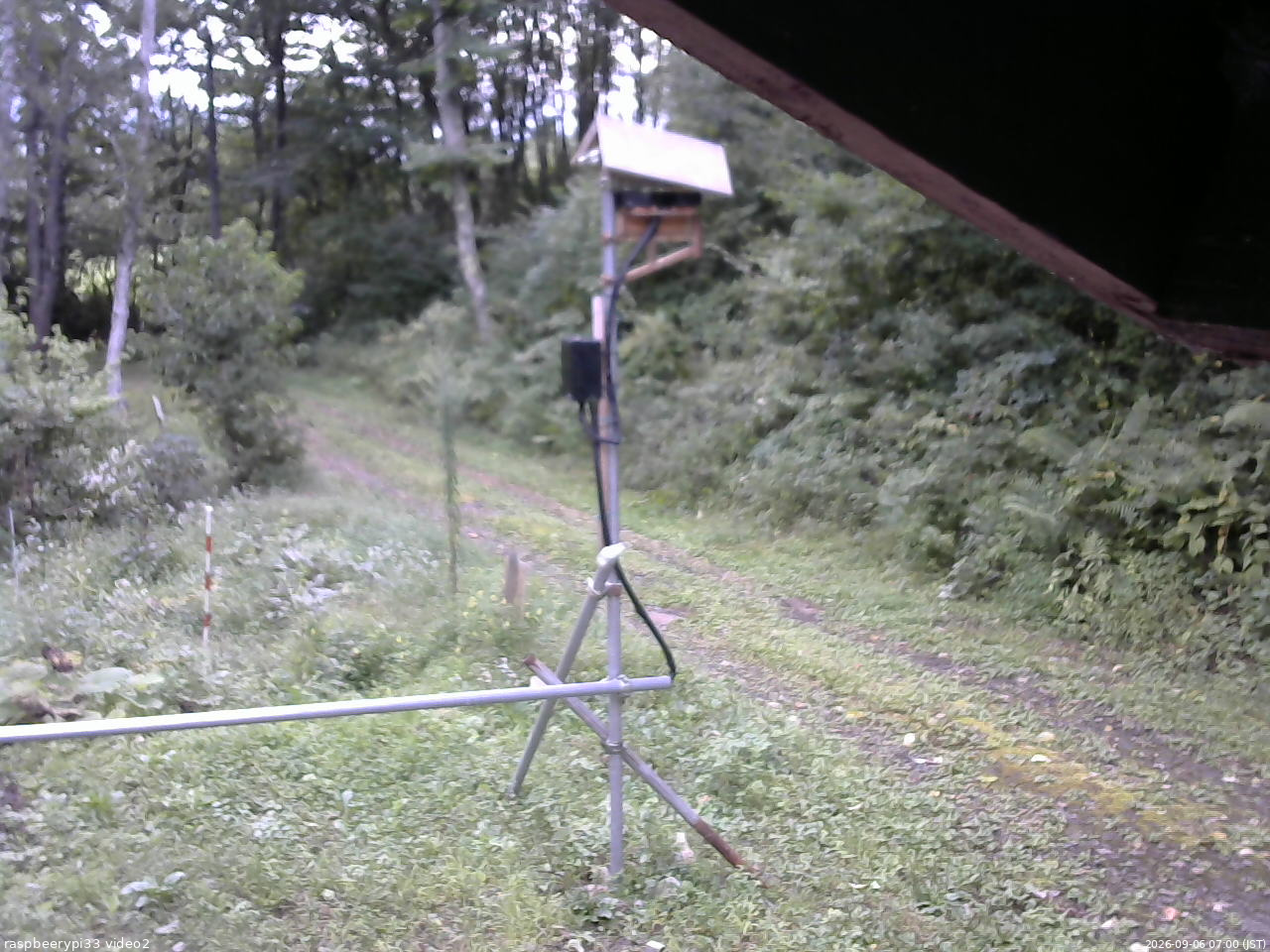 長野県菅平高原 ゆたか山荘 南側 2026/09/06 07:00