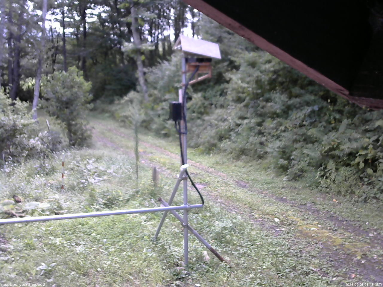 長野県菅平高原 ゆたか山荘 南側 2026/09/06 08:45