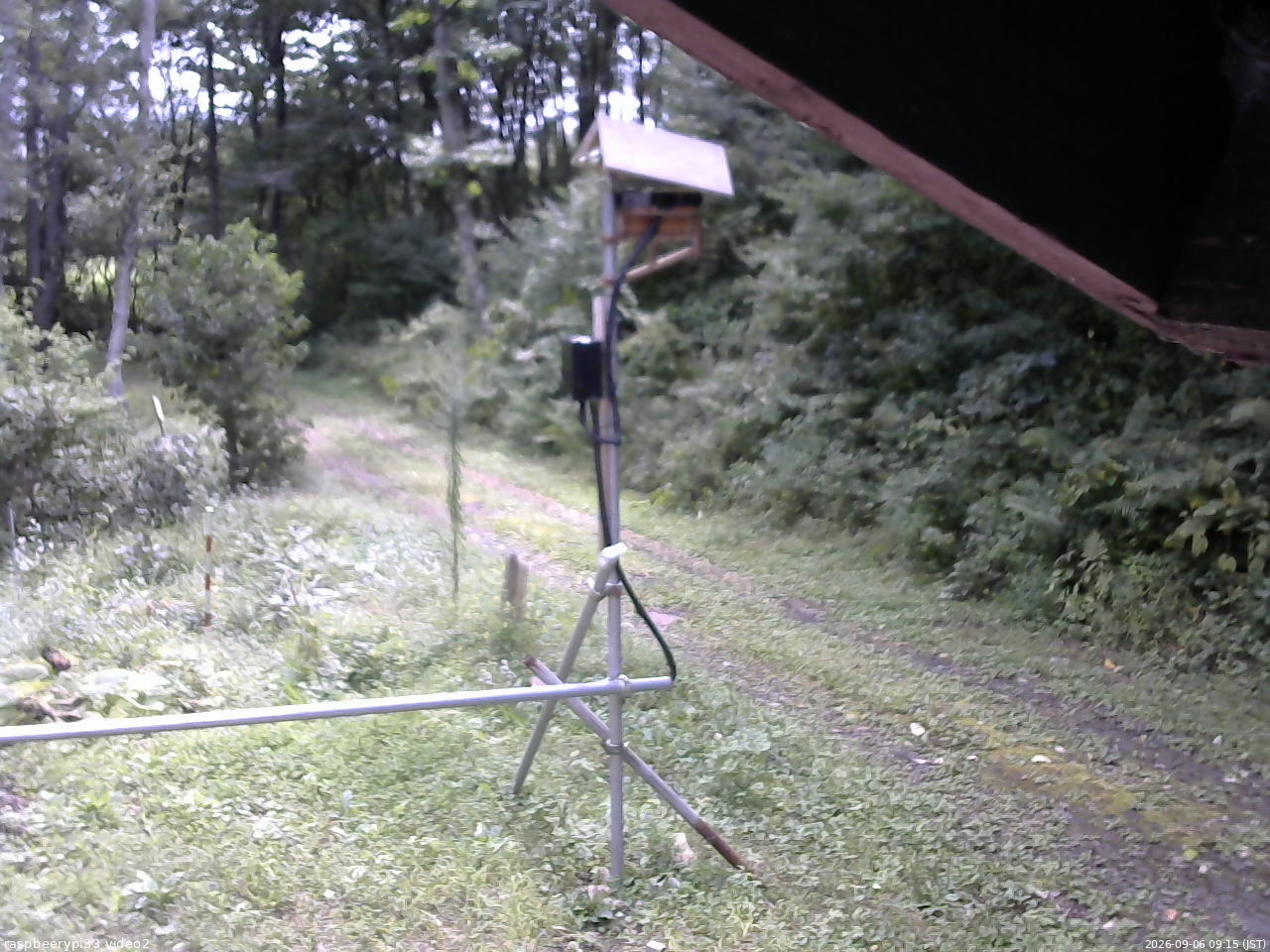 長野県菅平高原 ゆたか山荘 南側 2026/09/06 09:15