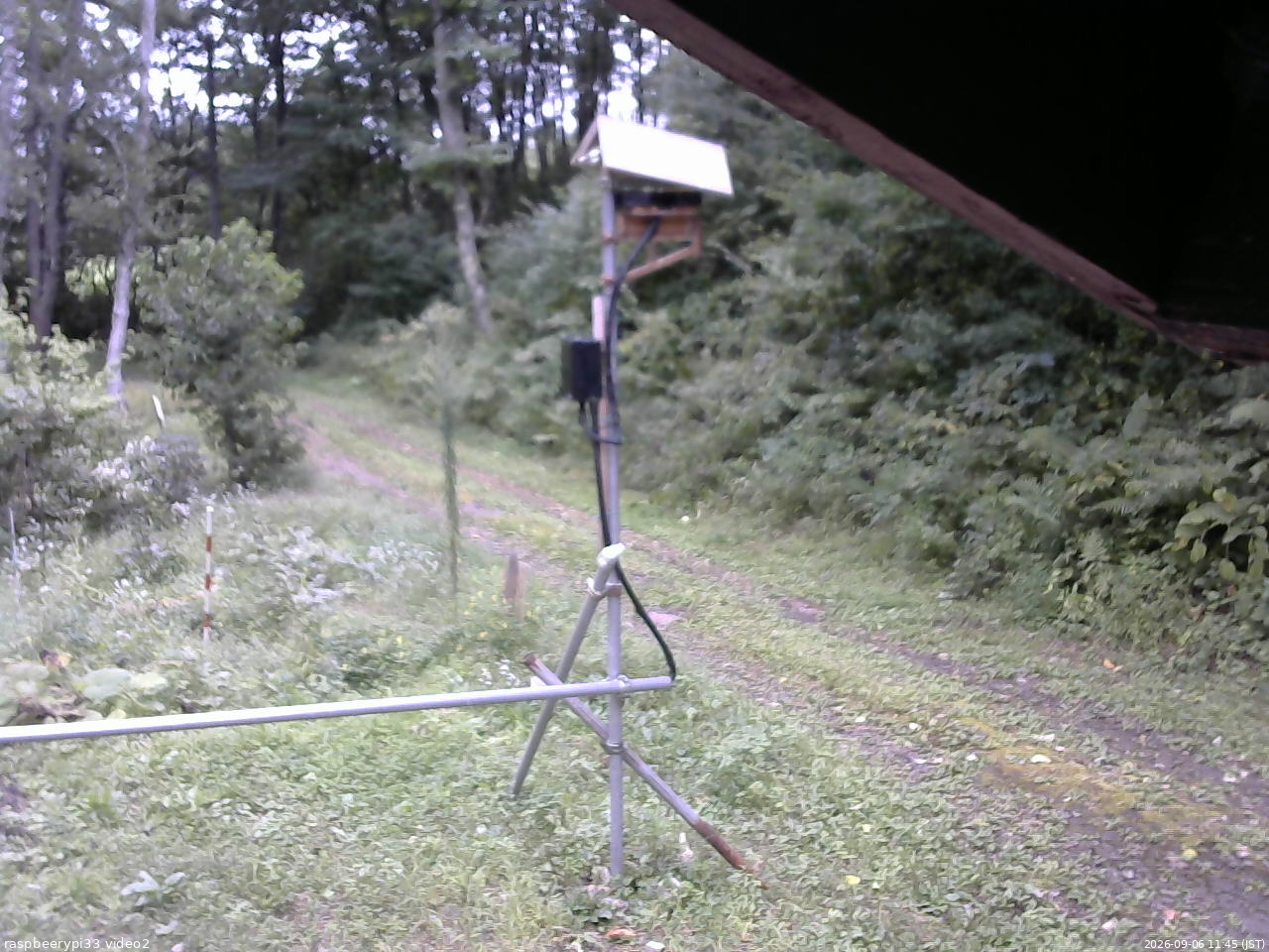 長野県菅平高原 ゆたか山荘 南側 2026/09/06 11:45