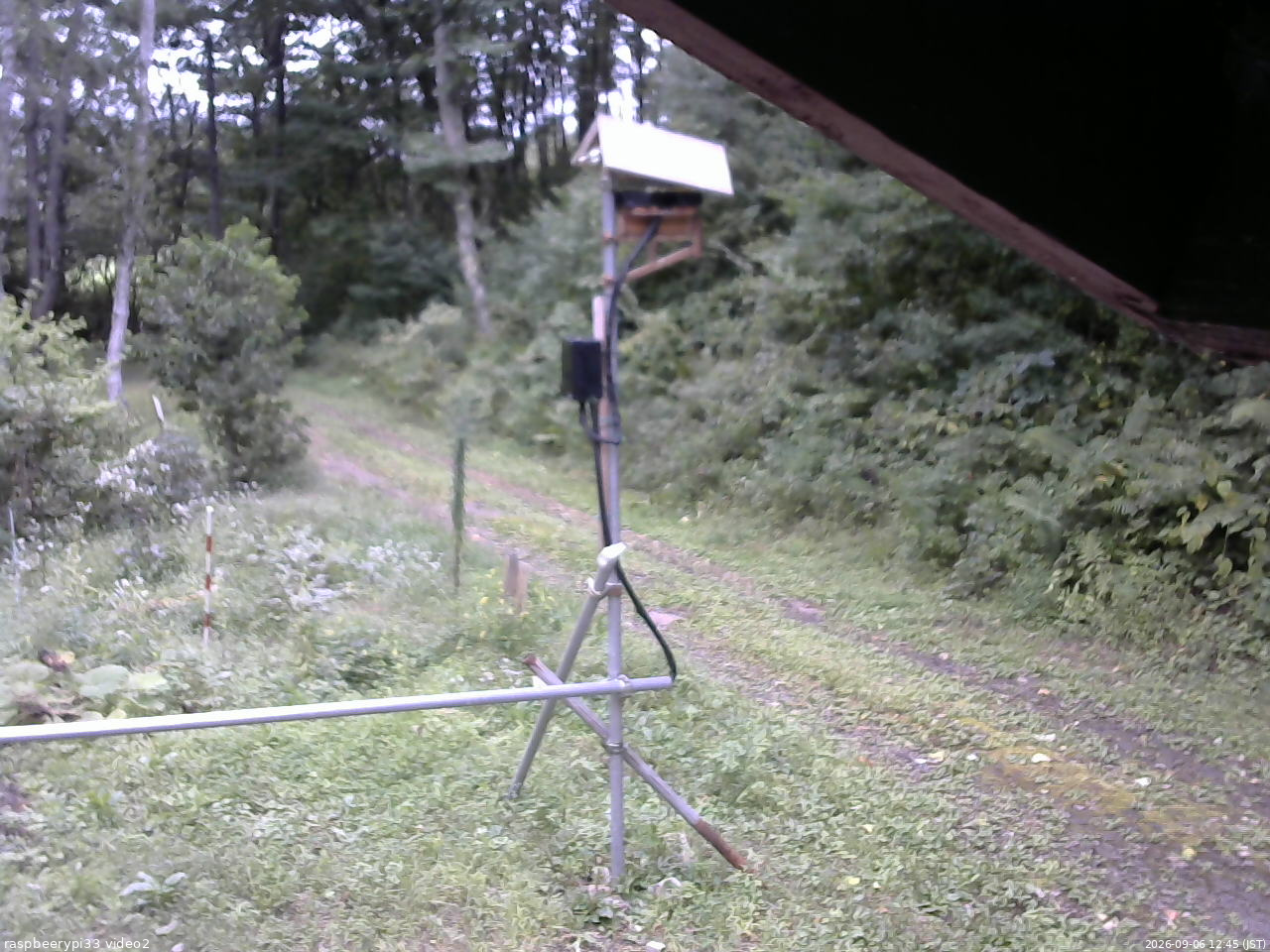 長野県菅平高原 ゆたか山荘 南側 2026/09/06 12:45