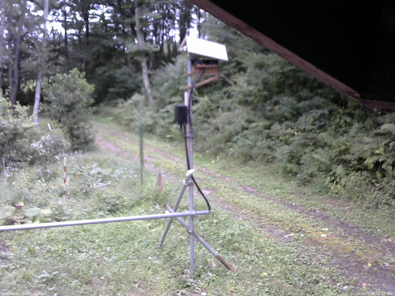 長野県菅平高原 ゆたか山荘 南側 2026/09/06 13:15