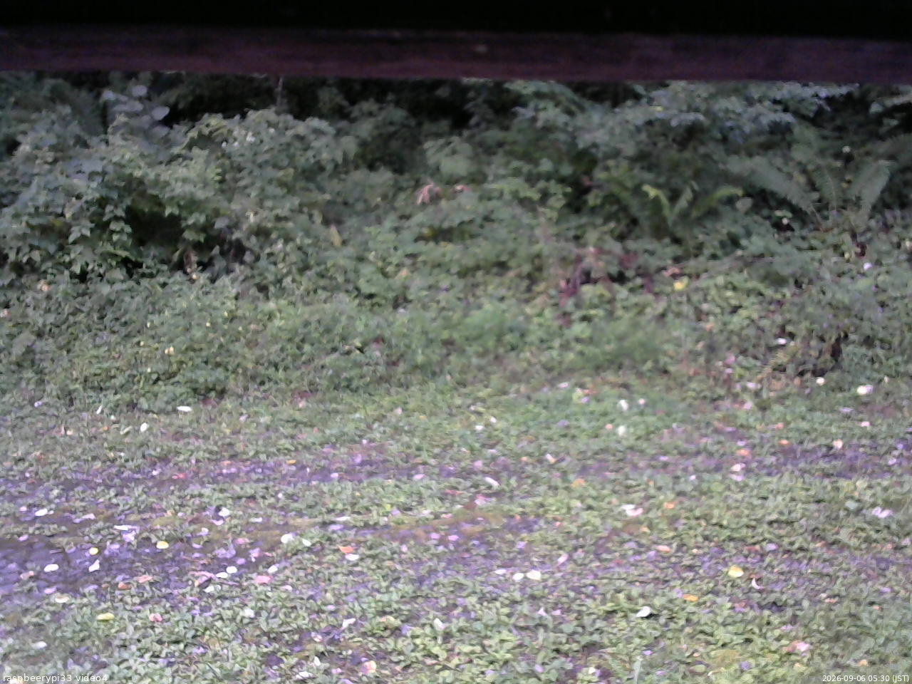 長野県菅平高原 ゆたか山荘 東側(坂下) 2026/09/06 05:30
