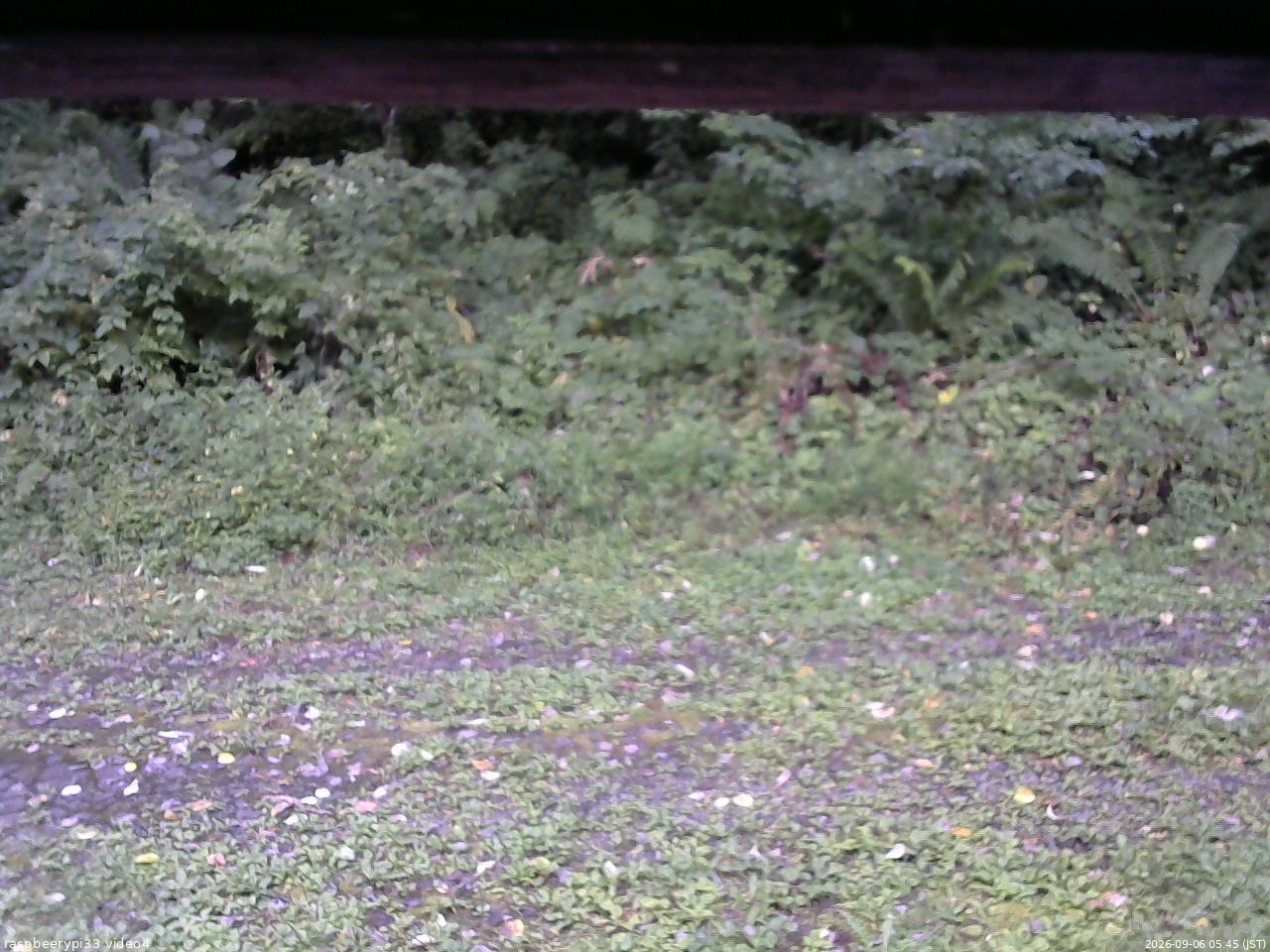長野県菅平高原 ゆたか山荘 東側(坂下) 2026/09/06 05:45