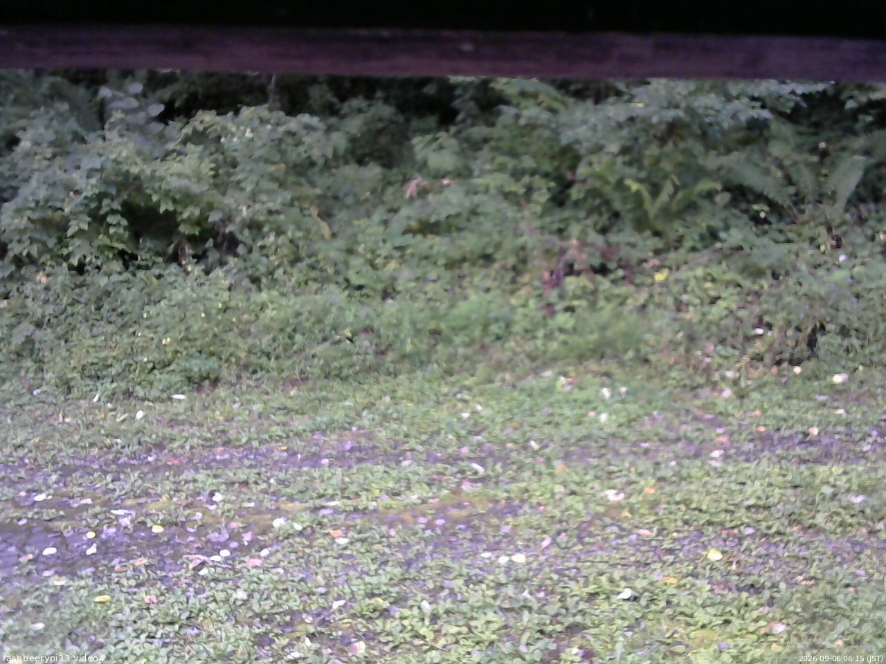 長野県菅平高原 ゆたか山荘 東側(坂下) 2026/09/06 06:15