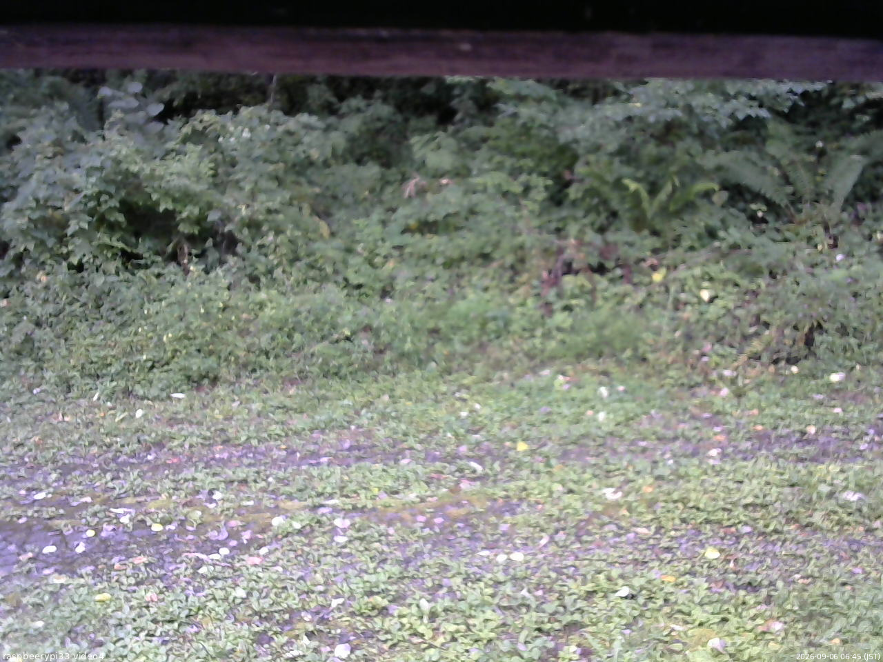 長野県菅平高原 ゆたか山荘 東側(坂下) 2026/09/06 06:45