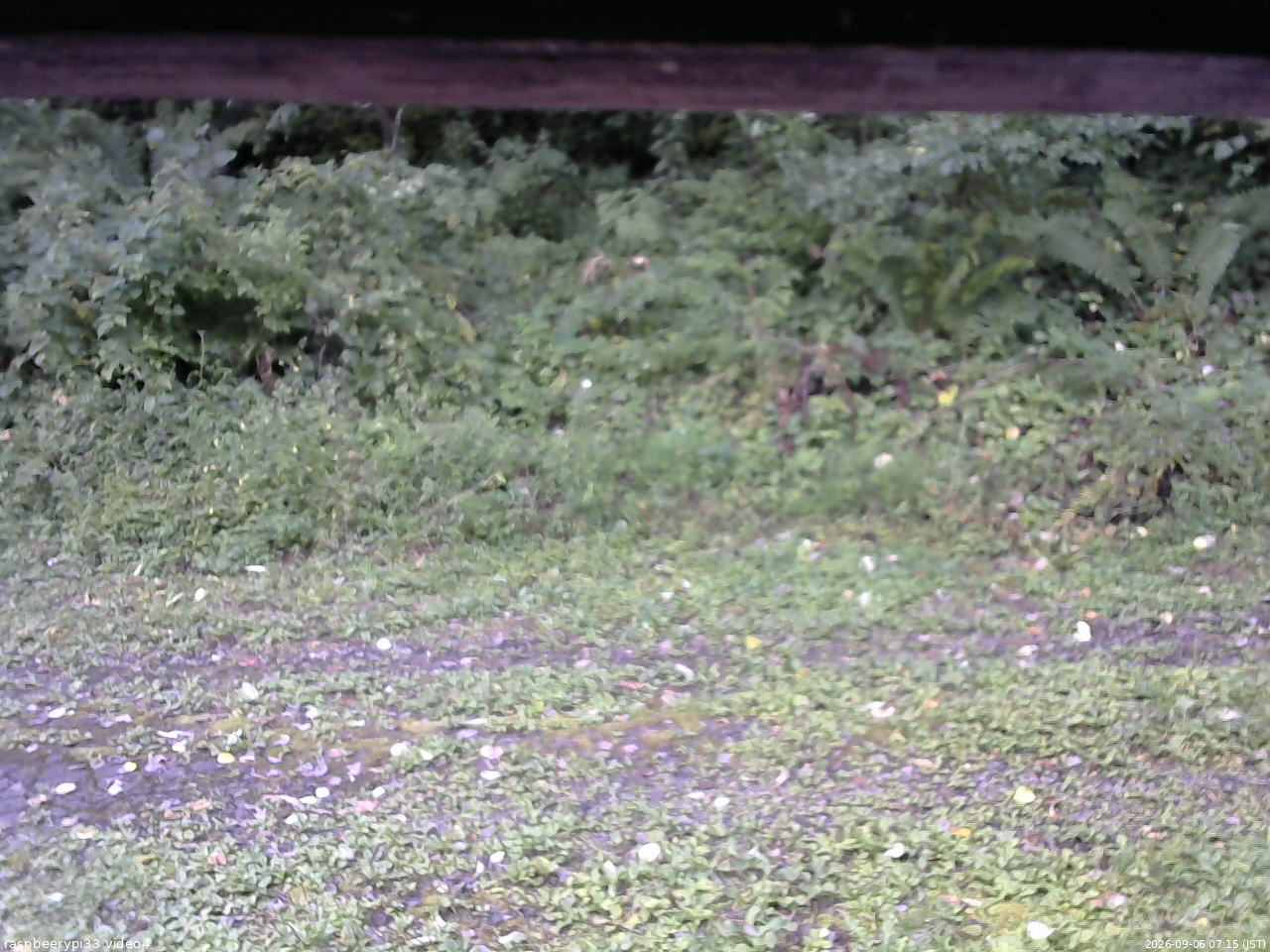 長野県菅平高原 ゆたか山荘 東側(坂下) 2026/09/06 07:15