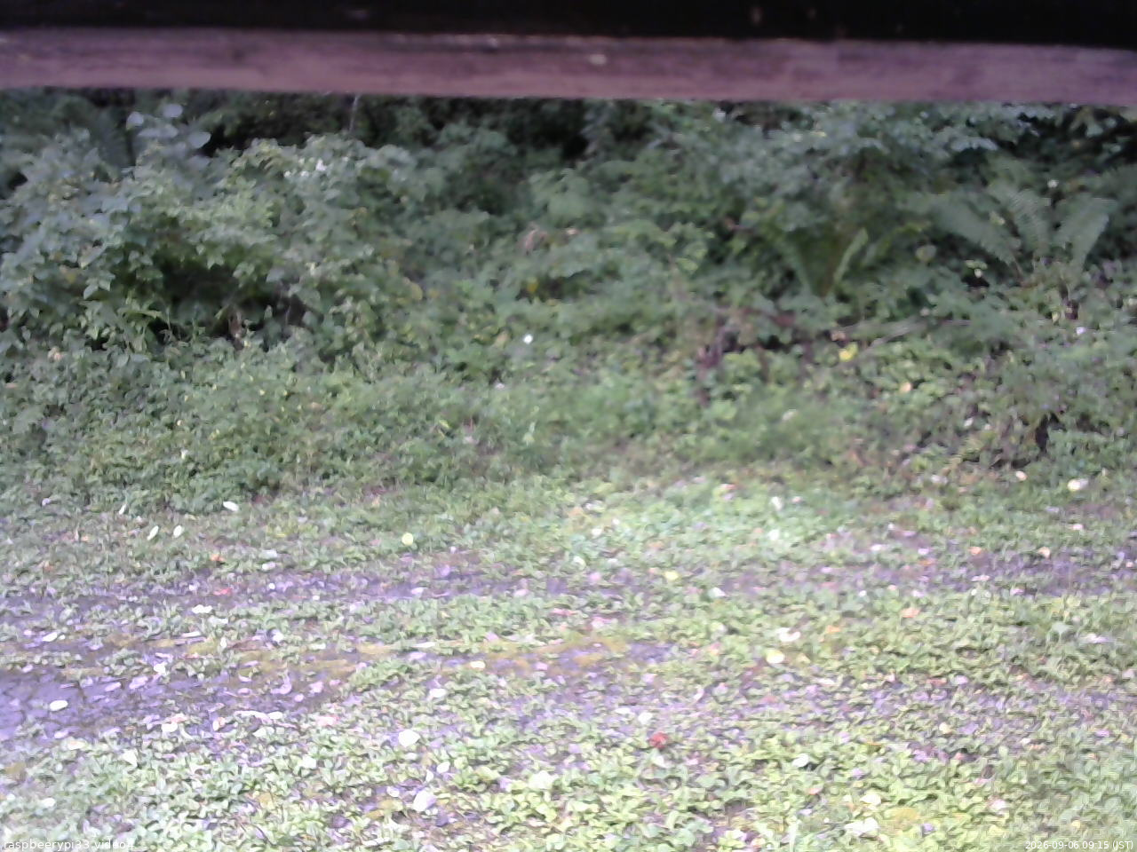 長野県菅平高原 ゆたか山荘 東側(坂下) 2026/09/06 09:15