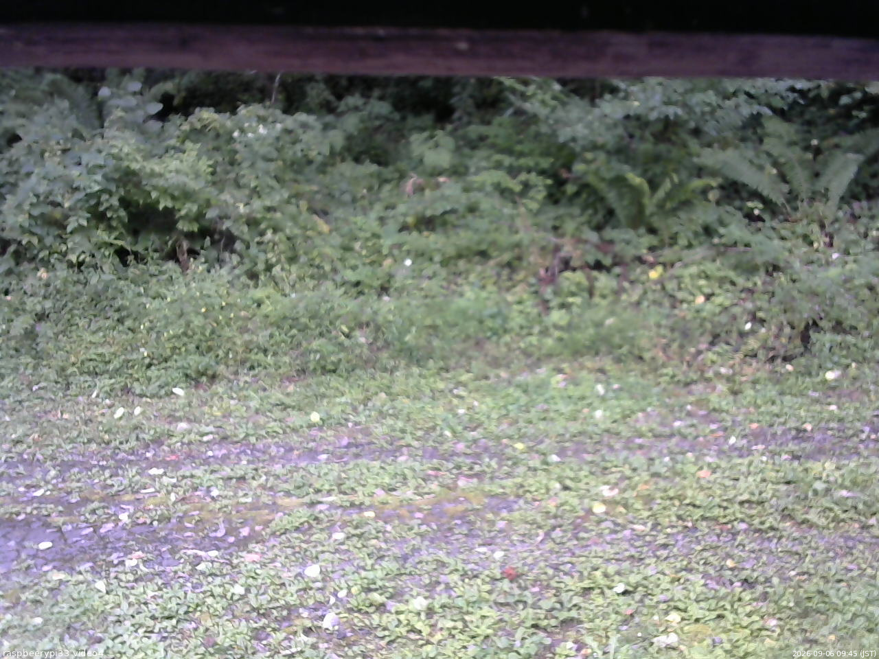 長野県菅平高原 ゆたか山荘 東側(坂下) 2026/09/06 09:45