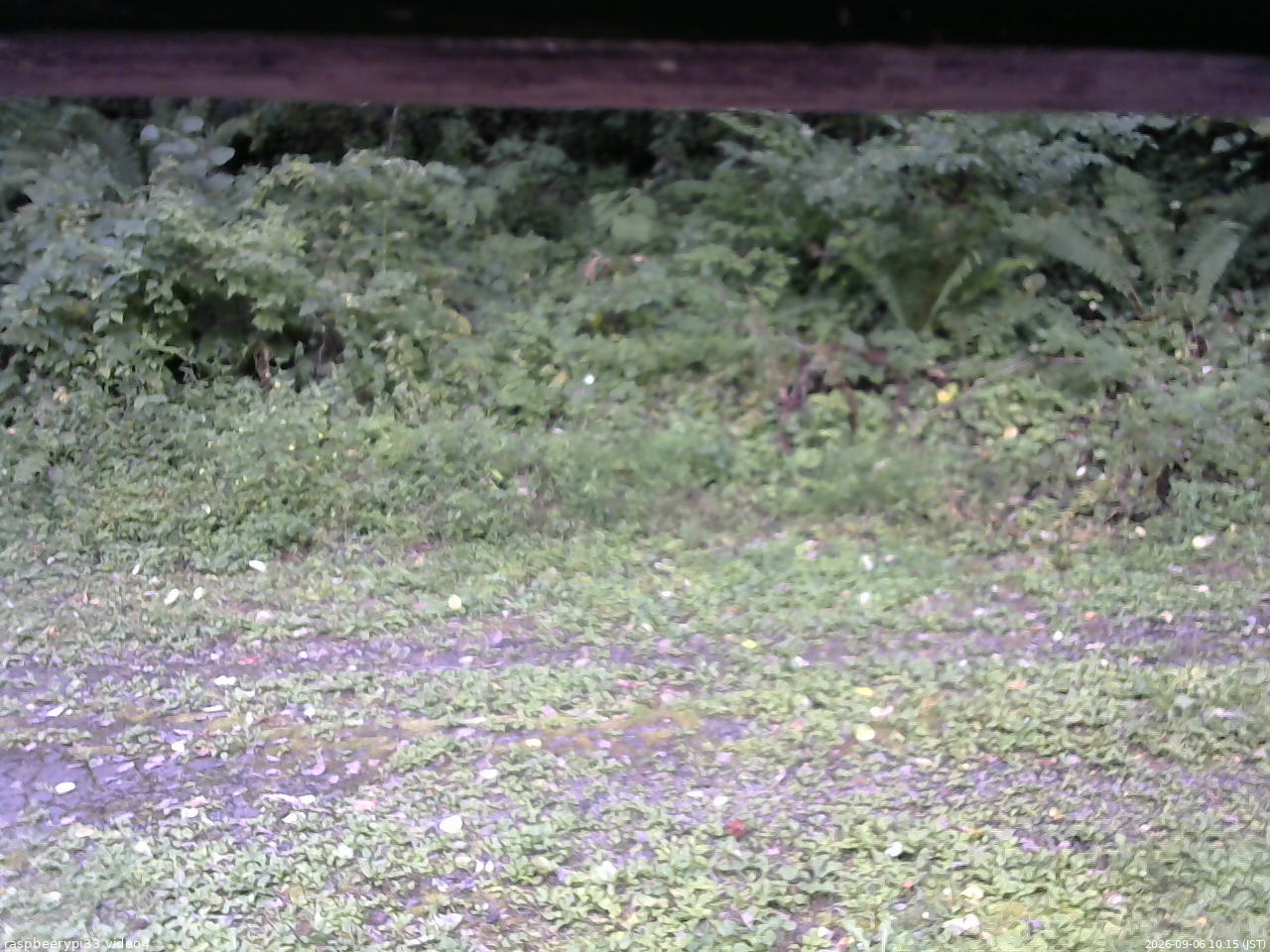 長野県菅平高原 ゆたか山荘 東側(坂下) 2026/09/06 10:15