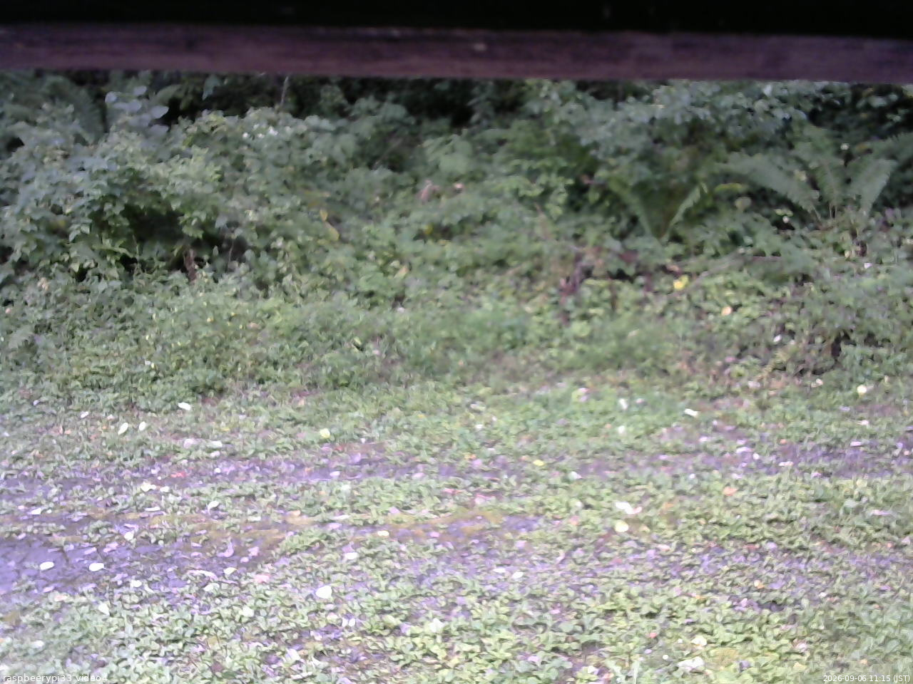 長野県菅平高原 ゆたか山荘 東側(坂下) 2026/09/06 11:15