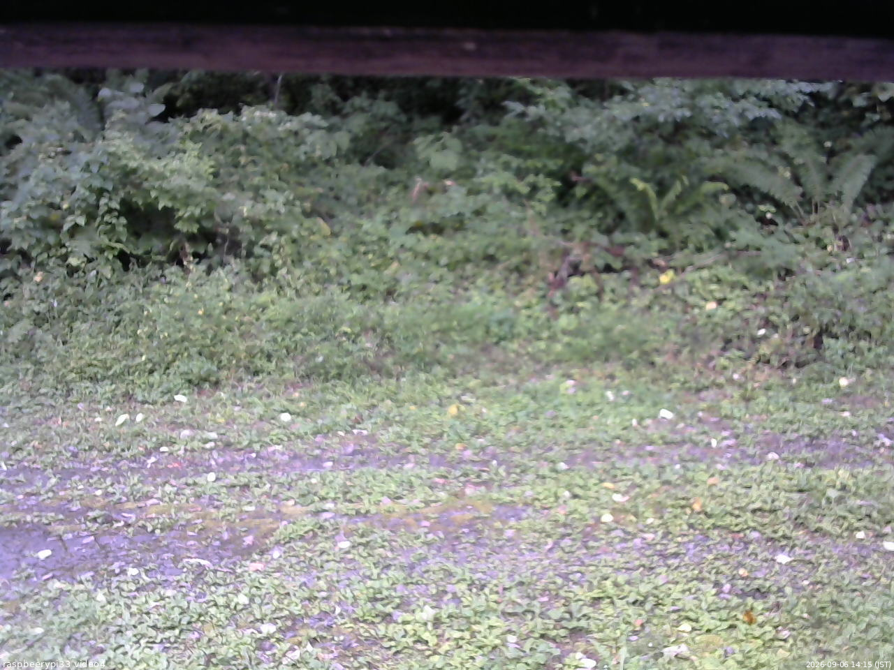 長野県菅平高原 ゆたか山荘 東側(坂下) 2026/09/06 14:15