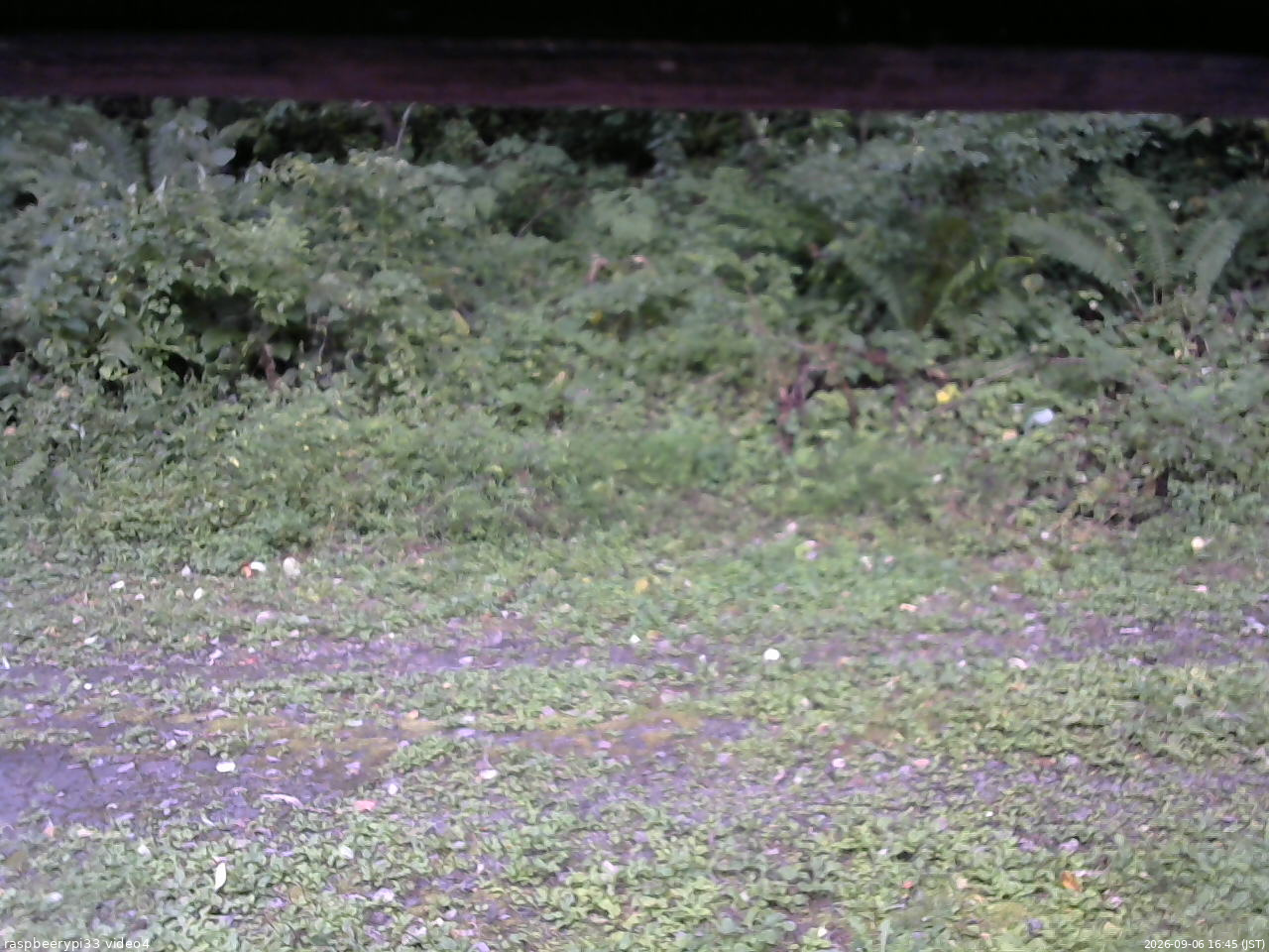 長野県菅平高原 ゆたか山荘 東側(坂下) 2026/09/06 16:45
