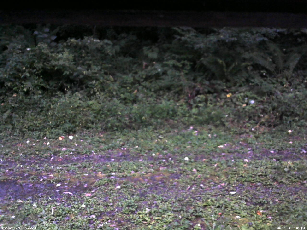 長野県菅平高原 ゆたか山荘 東側(坂下) 2026/09/06 18:00