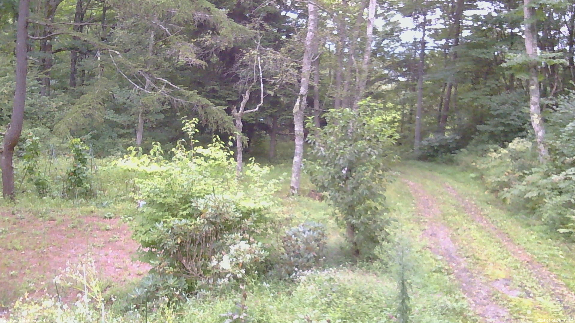 長野県菅平高原 ゆたか山荘 坂上 2026/09/06 05:45