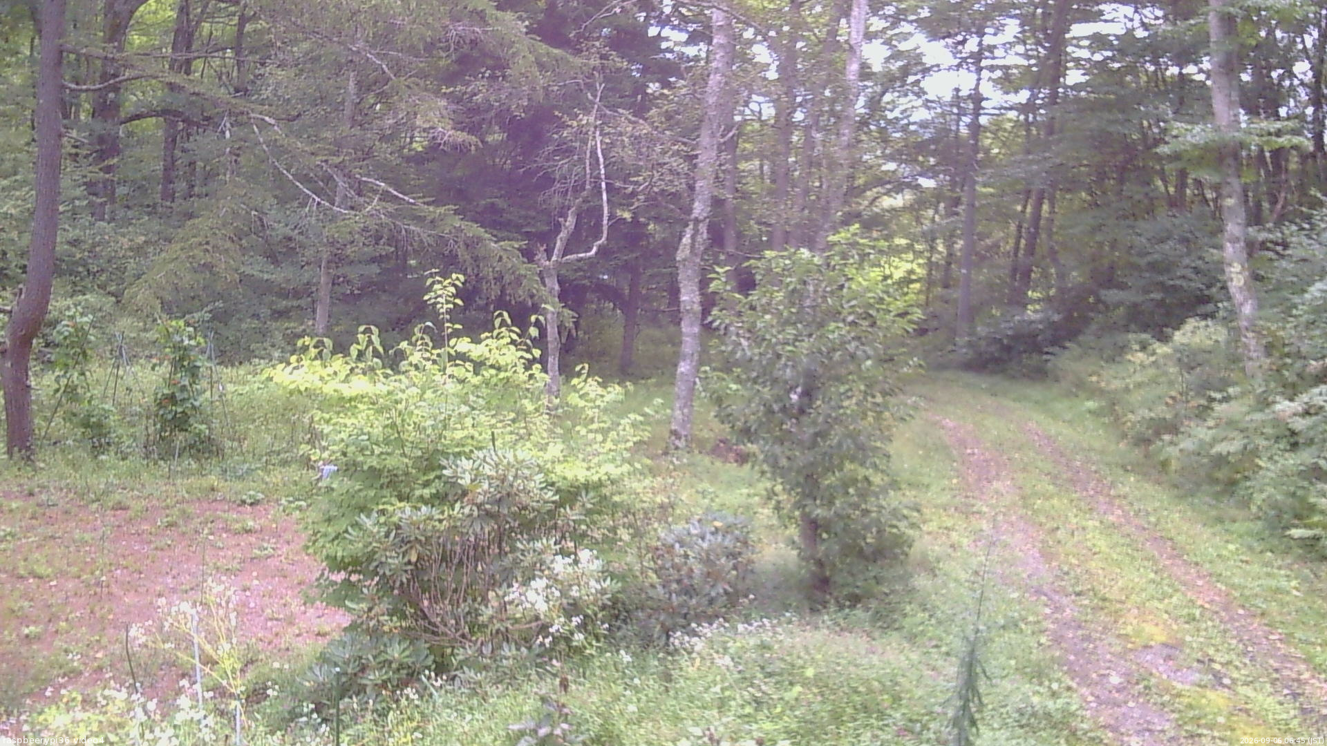長野県菅平高原 ゆたか山荘 坂上 2026/09/06 06:45