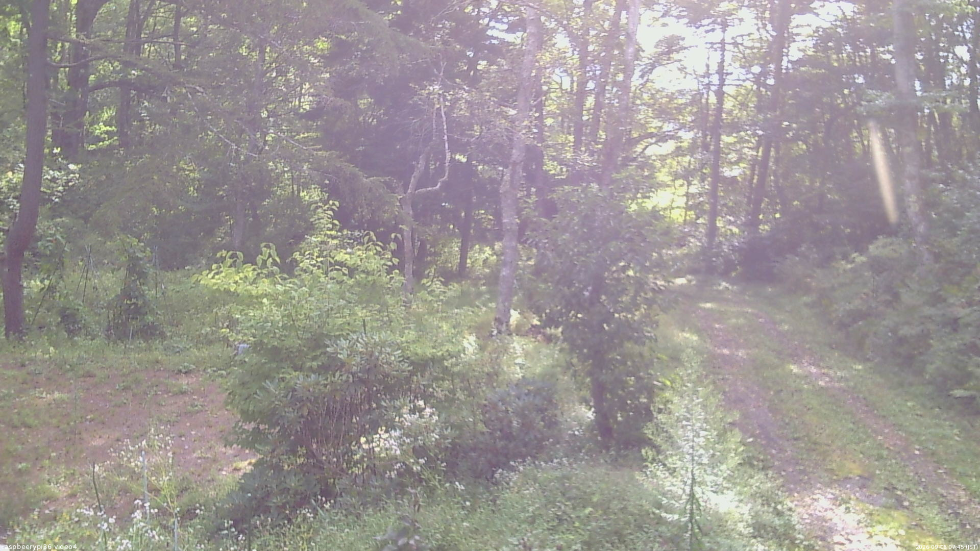 長野県菅平高原 ゆたか山荘 坂上 2026/09/06 07:45
