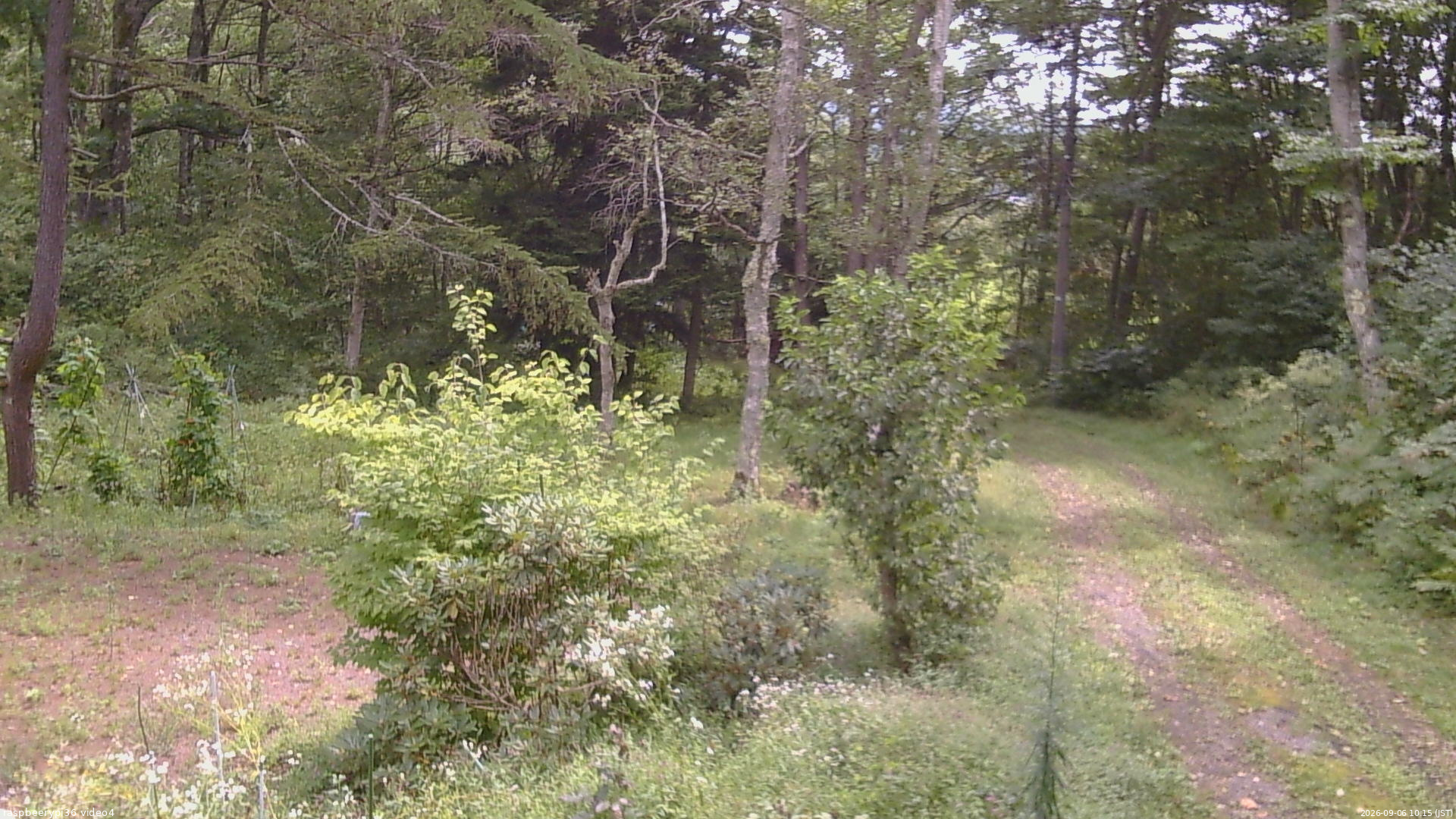 長野県菅平高原 ゆたか山荘 坂上 2026/09/06 10:15