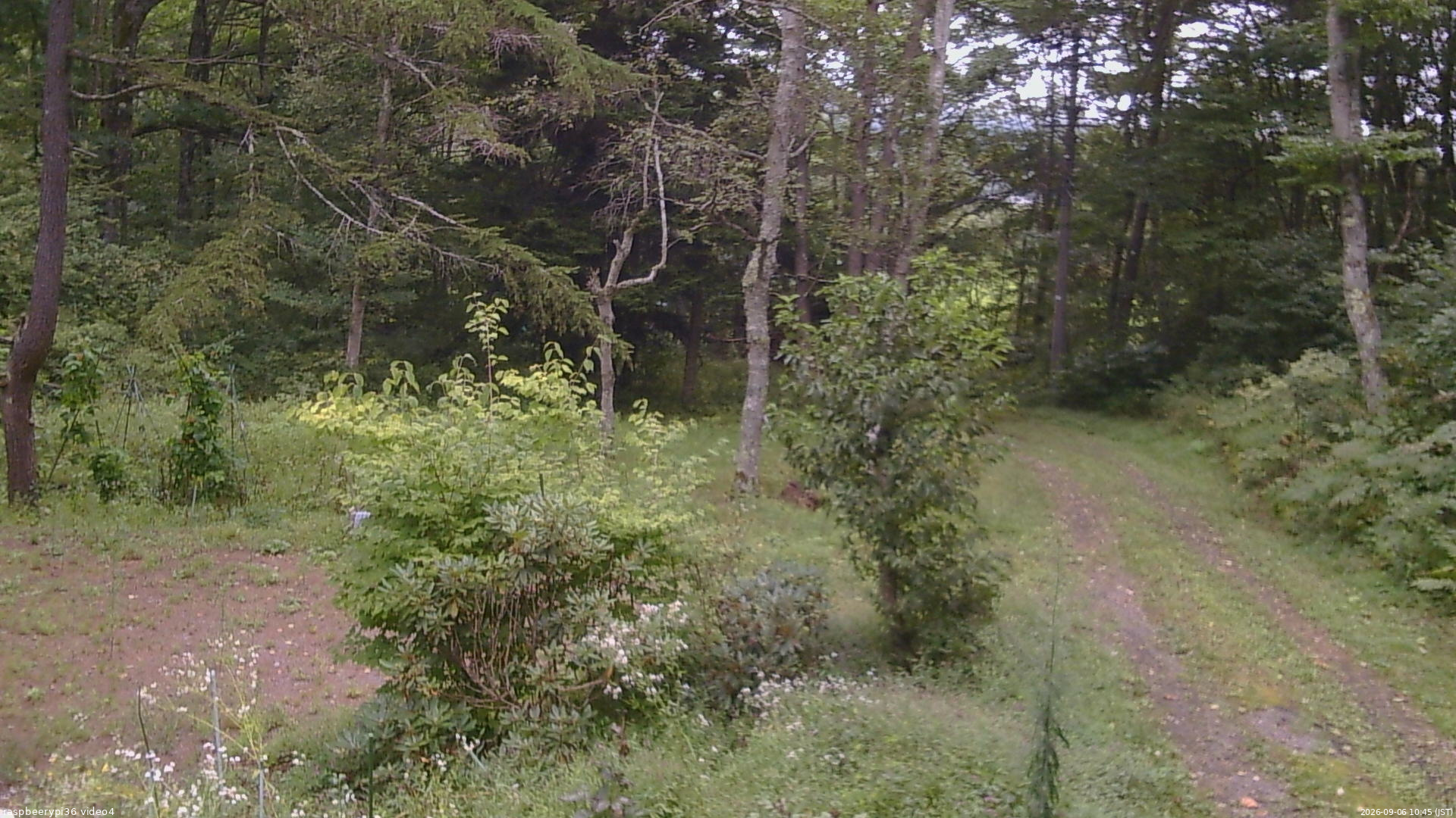 長野県菅平高原 ゆたか山荘 坂上 2026/09/06 10:45