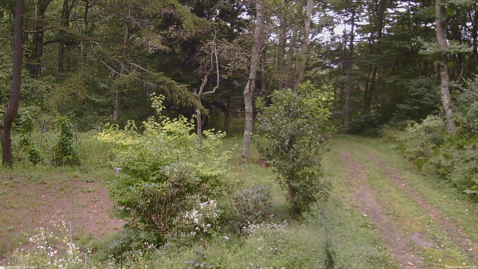 長野県菅平高原 ゆたか山荘 坂上 2026/09/06 12:00