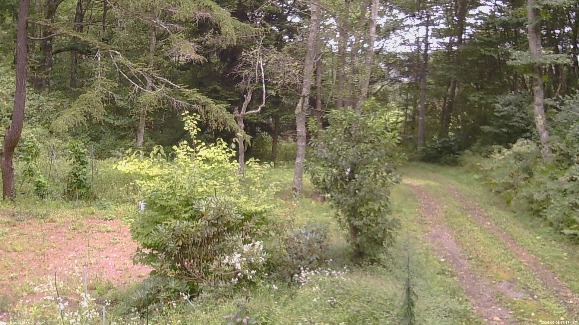 長野県菅平高原 ゆたか山荘 坂上 2026/09/06 12:15