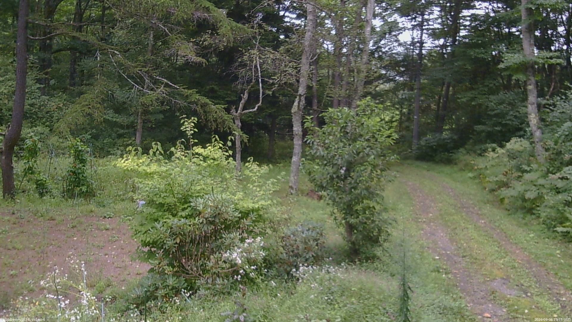 長野県菅平高原 ゆたか山荘 坂上 2026/09/06 13:15