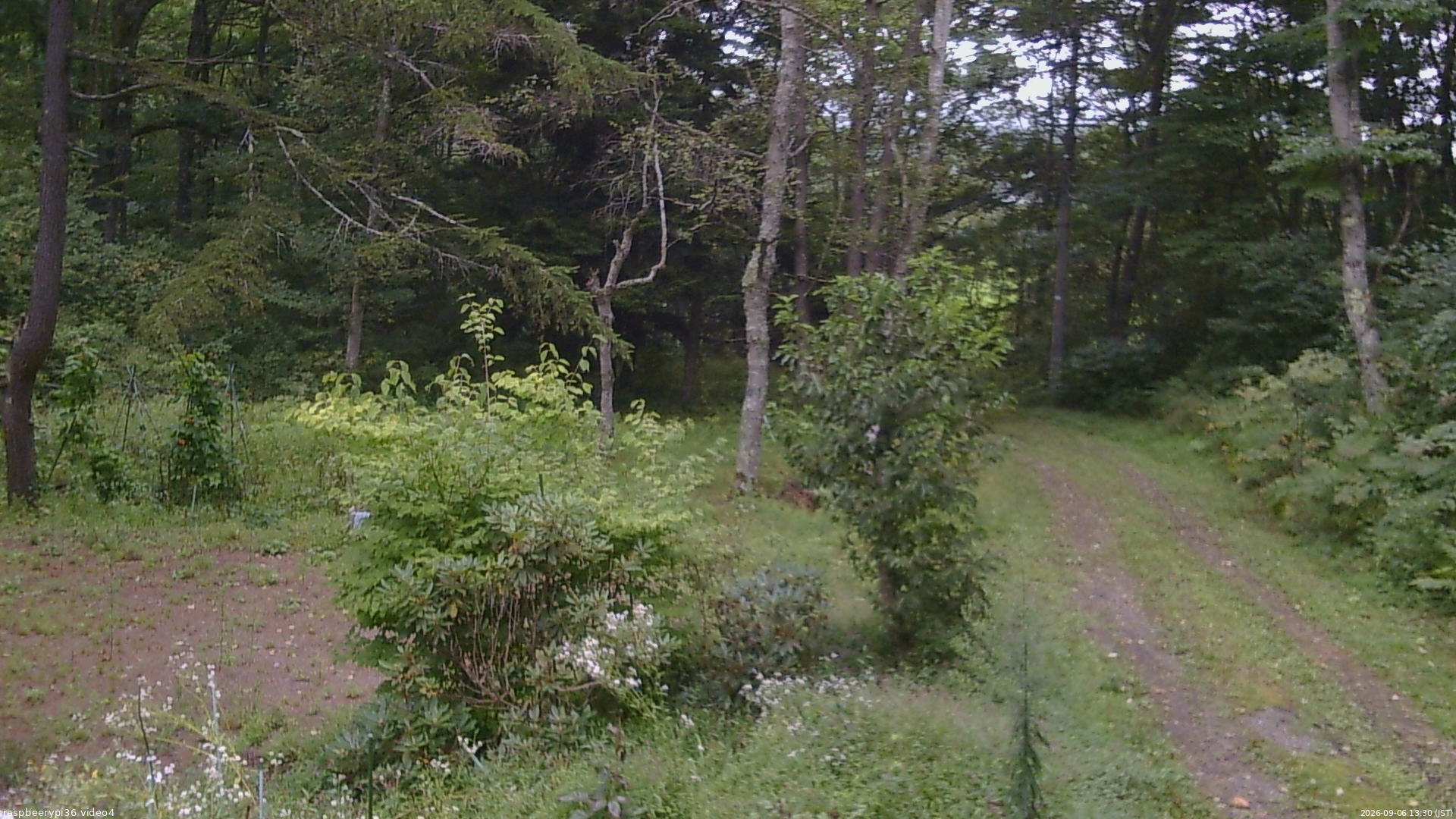 長野県菅平高原 ゆたか山荘 坂上 2026/09/06 13:30