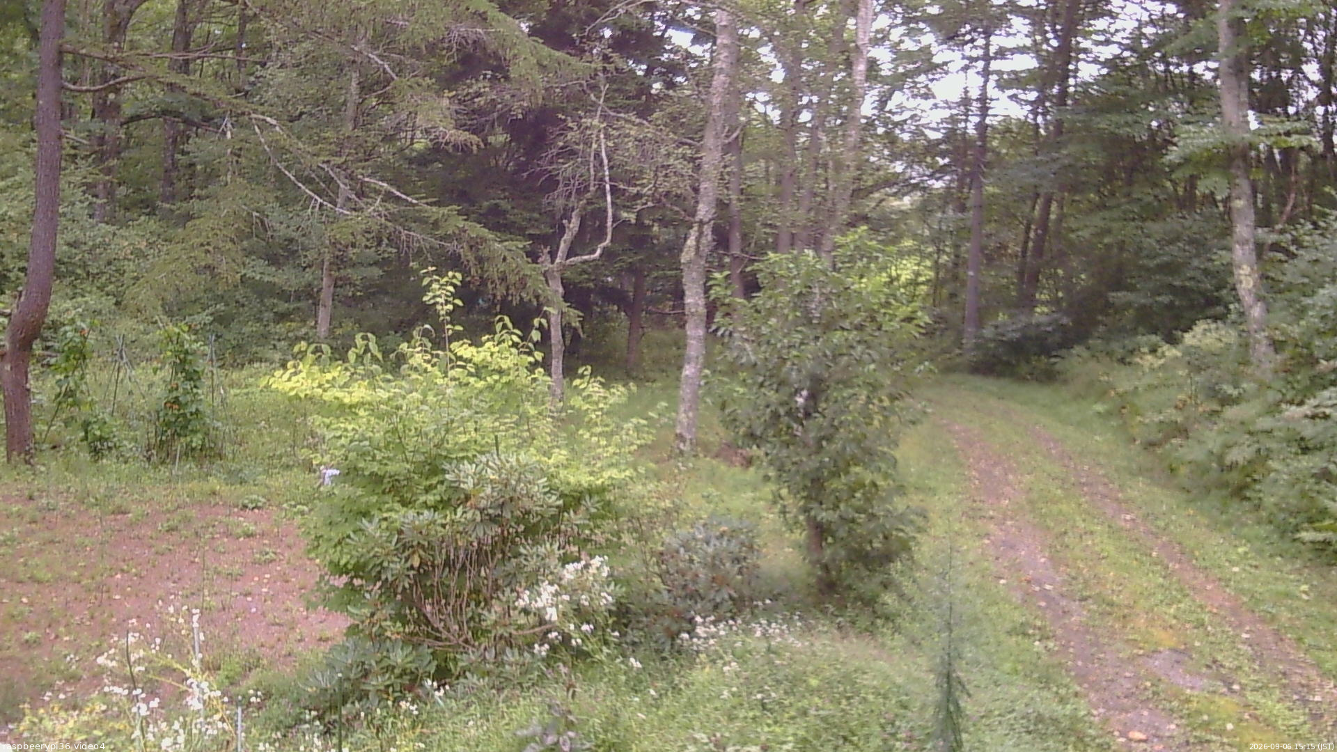 長野県菅平高原 ゆたか山荘 坂上 2026/09/06 15:15