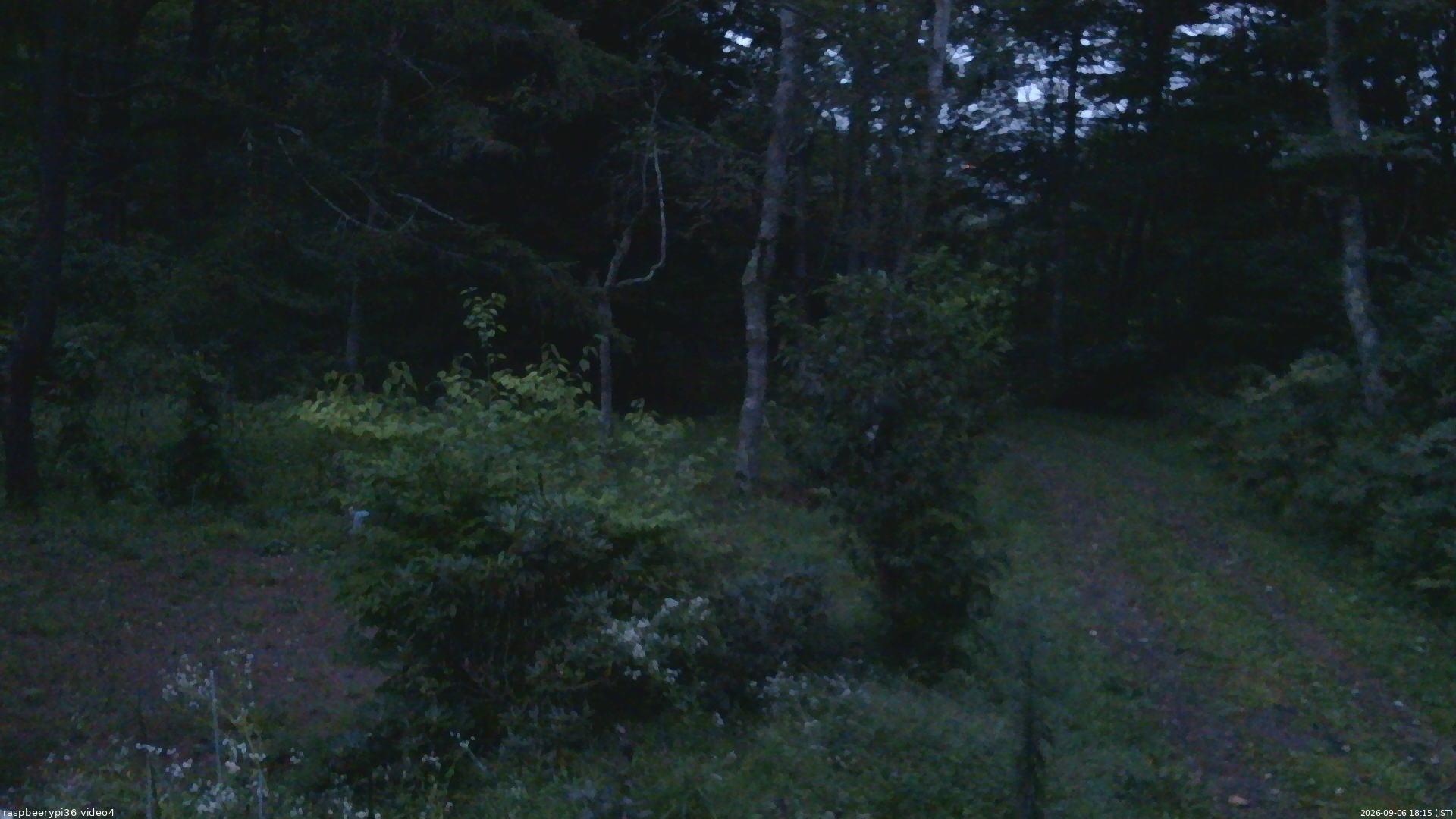 長野県菅平高原 ゆたか山荘 坂上 2026/09/06 18:15
