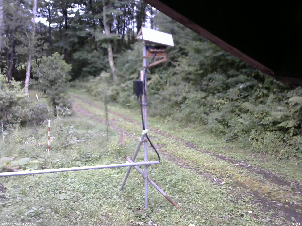 長野県菅平高原 ゆたか山荘 南側 2026/09/07 15:30