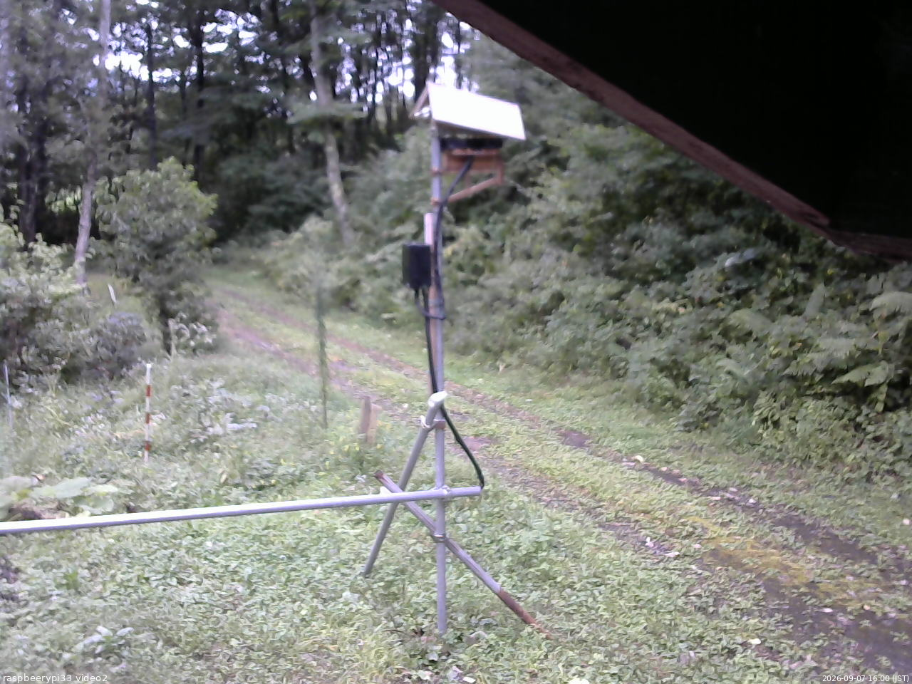 長野県菅平高原 ゆたか山荘 南側 2026/09/07 16:00