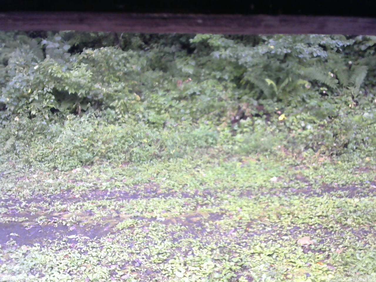 長野県菅平高原 ゆたか山荘 東側(坂下) 2026/09/07 10:15