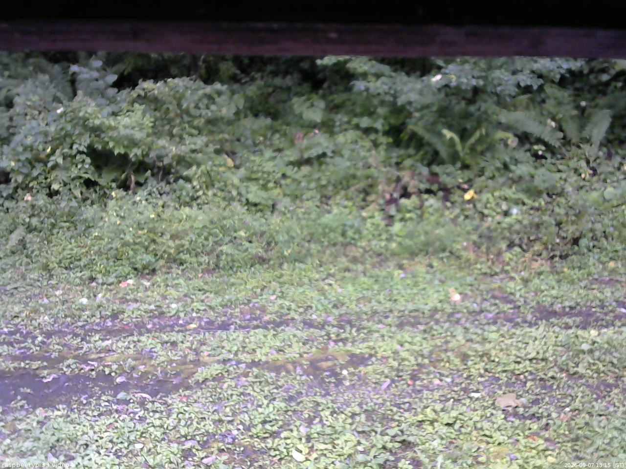 長野県菅平高原 ゆたか山荘 東側(坂下) 2026/09/07 13:15