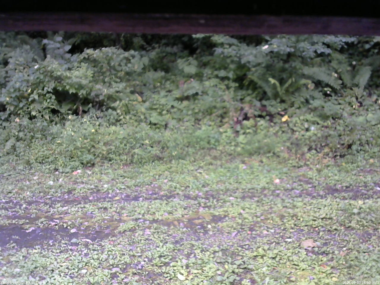 長野県菅平高原 ゆたか山荘 東側(坂下) 2026/09/07 16:00