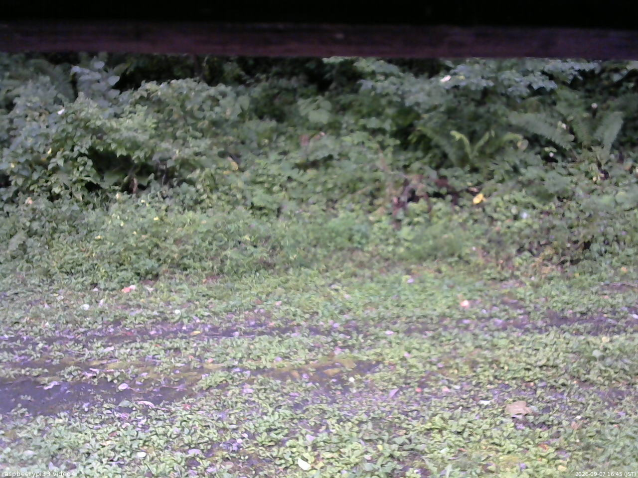 長野県菅平高原 ゆたか山荘 東側(坂下) 2026/09/07 16:45