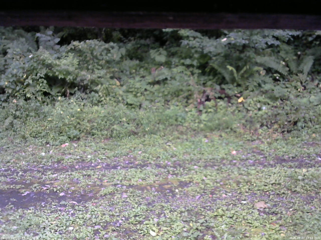 長野県菅平高原 ゆたか山荘 東側(坂下) 2026/09/07 17:15