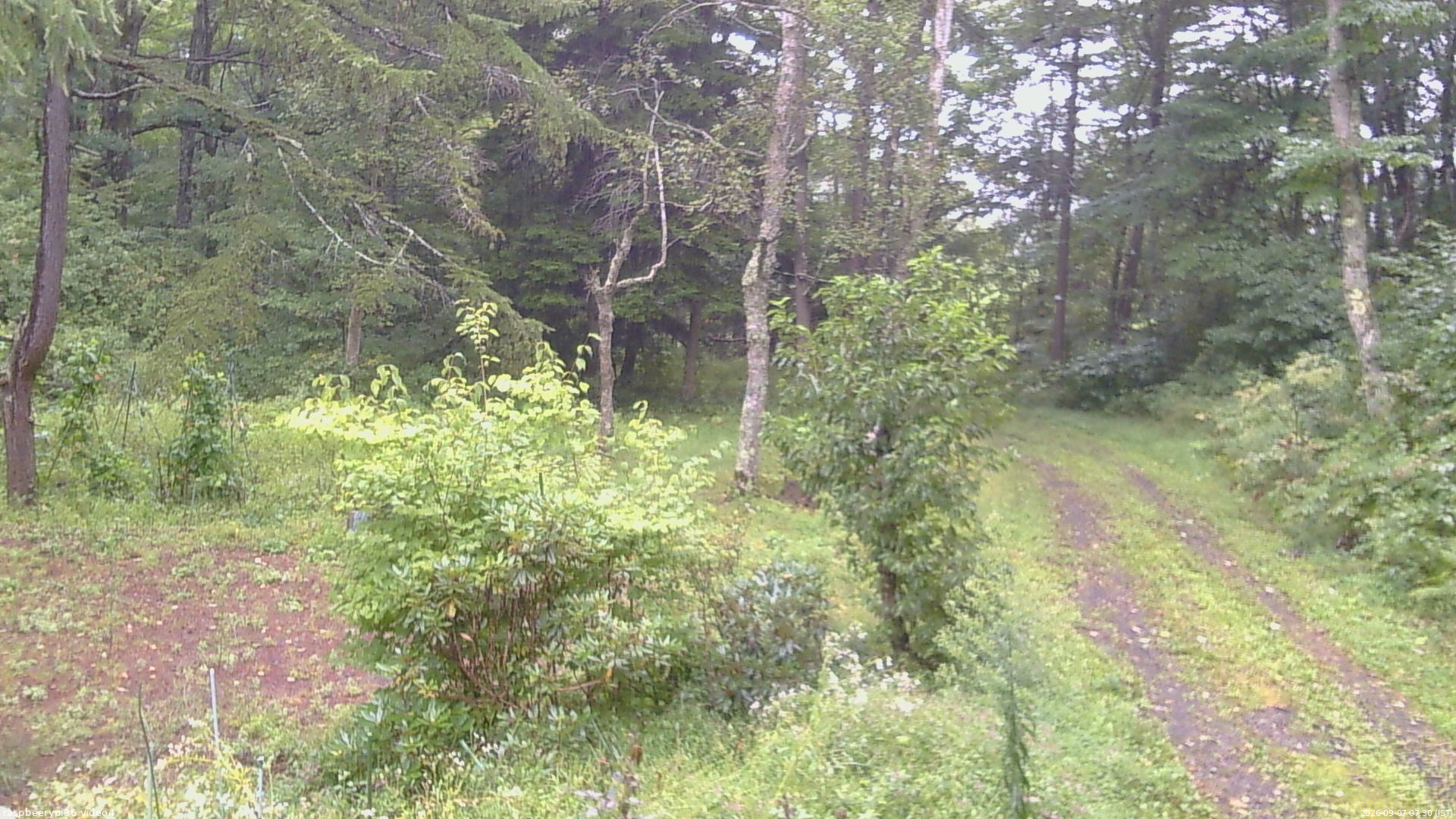 長野県菅平高原 ゆたか山荘 坂上 2026/09/07 07:30